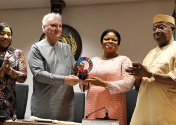 SDGs Champion; Adefulire Deserves More Accolades, CSO.