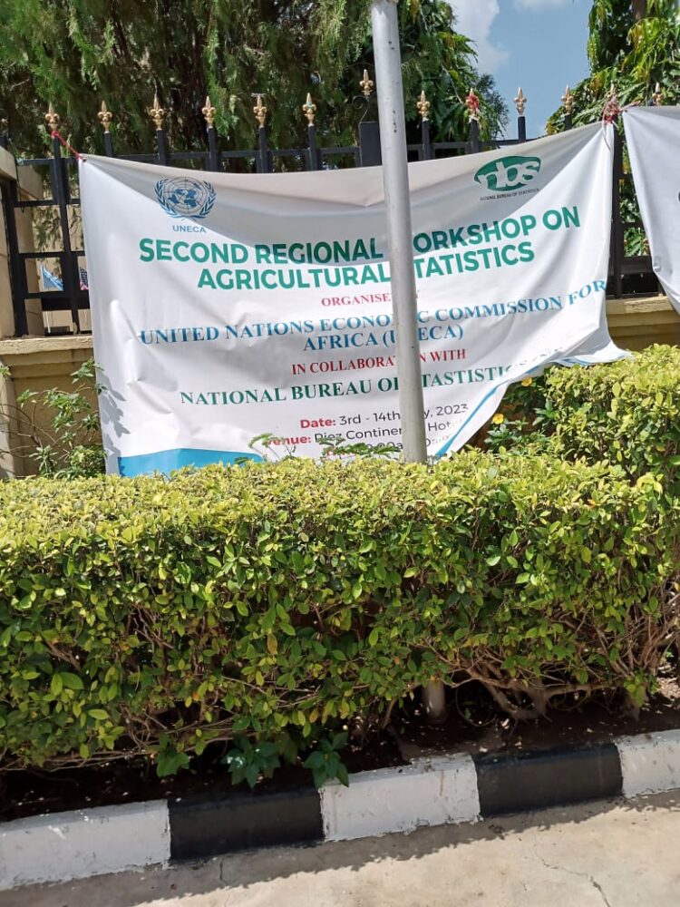 UNECA, NBS Holds Second Regional Workshop on Regional Statistics.