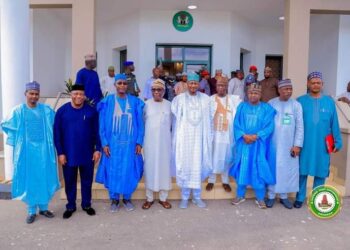 Arms, Drug Trafficking: Radda Urges Tighter Border Patrol, Condemns Harassments of Katsina Residents.