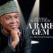 Why H.E Dr. Abubakar Bukola Saraki is a rare gem!