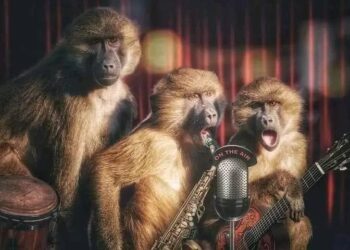 When the Baboons and  Monkeys heard that the Man  who used to chase them away  from the maize field had died,  they hysterically celebrated