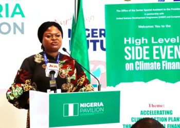 Orelope-Adefulire, UNDP, EU Push for Acceleration of Climate Action Plan Through INFF at COP28