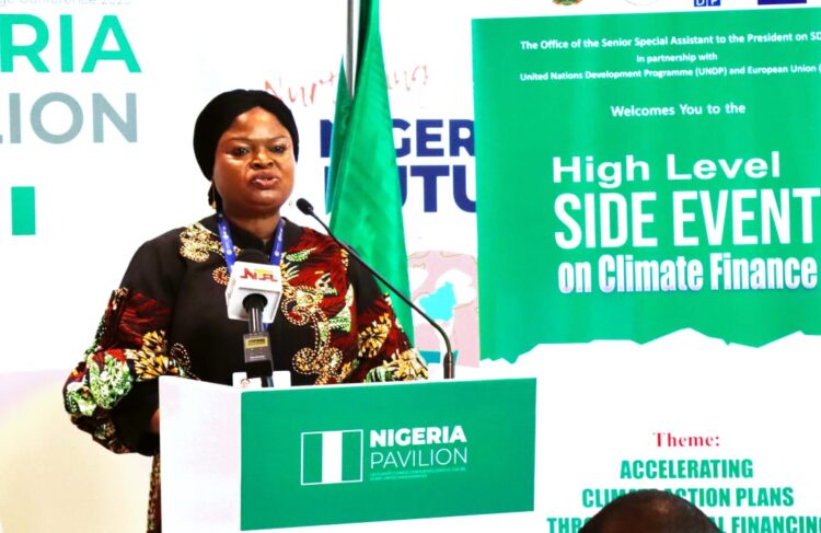 Orelope-Adefulire, UNDP, EU Push for Acceleration of Climate Action Plan Through INFF at COP28