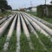 Oil Pipelines Surveillance; Olu of Warri, PINL Accuse of Portraying Half Truths.