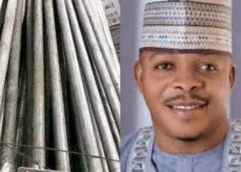 Social Critic, PDP House of Representatives Candidate, Dekina Bassa, Okai Lightens up Community.