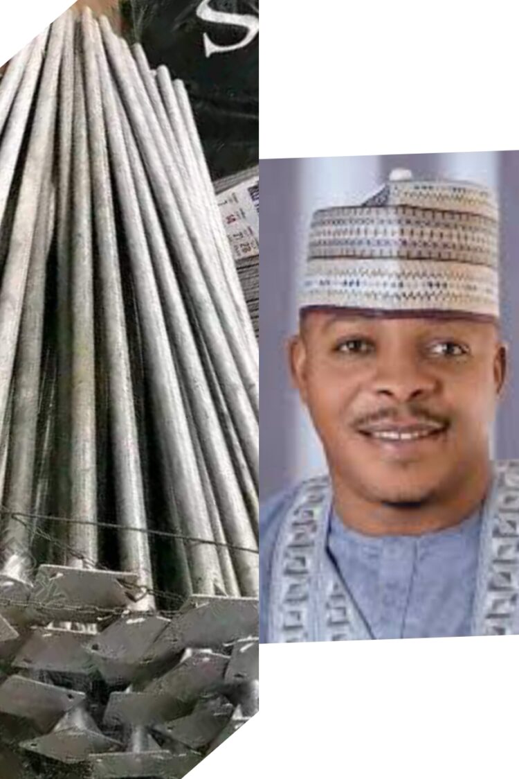 Social Critic, PDP House of Representatives Candidate, Dekina Bassa, Okai Lightens up Community.