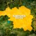 FG To Build Affordable Houses For Low-Income Earners In Kaduna