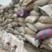Dangote Food Intervention Excites Host Communities In Kogi