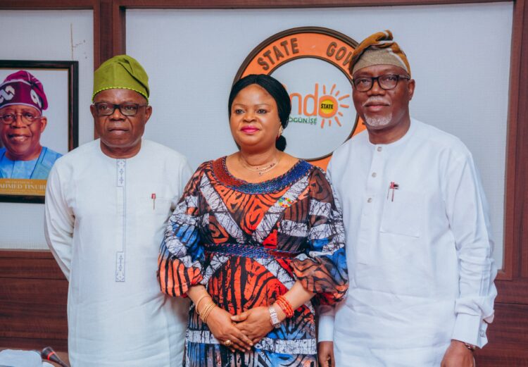 FG Task States On Accelerating The SDGs.
