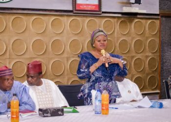 FG Parley Kano Govt., LGs on Fast-Tracking Progress for SDGs.