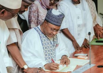 MUSINGS ON UBA SANI’S CALL TO EUROPEAN UNION 