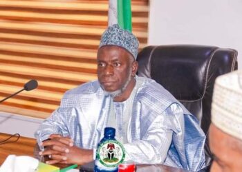 Katsina Ag. Governor Appeals for Calm Amidst Planned Protest, 
