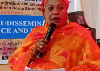 NationaBorno Govt rehabilitates over 200,000 repentant Boko Haram Insurgents, pledges support for Allamin foundation