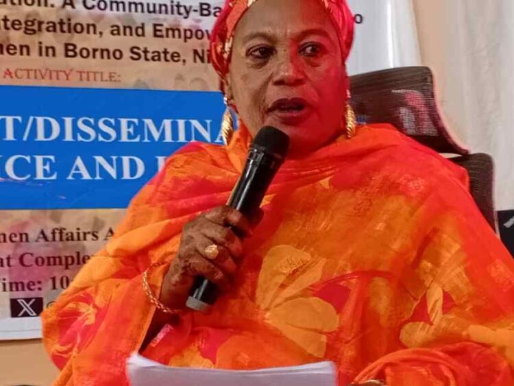 NationaBorno Govt rehabilitates over 200,000 repentant Boko Haram Insurgents, pledges support for Allamin foundation