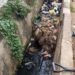 Flood Control: Oyo Govt Desilts Over 153km Drainages, Culverts