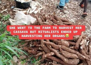 Igala Land Taken Over by Ritual Killings and Human Part Trafficking, Okai Urges Authorities to Take Action