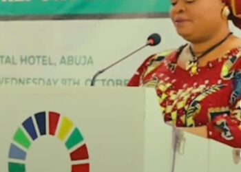 SDGs, Counting the Gains of UNGA 79,