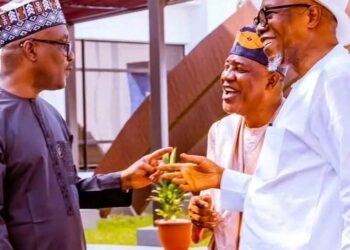 Deputy House Leader , Others Pay Homage to President Tinubu.
