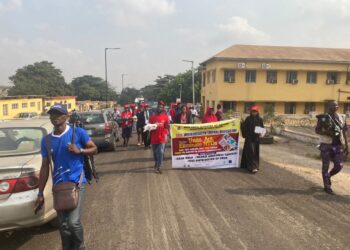 World NTDs Day: “We’ve Invested N30m on Disease Elimination” – Oyo Govt.