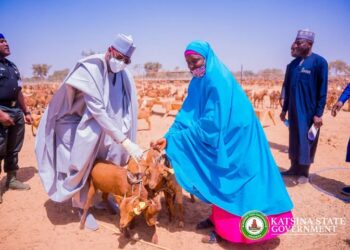 Governor Radda Flag-off Distribution of 40,000 Goat for Rearing, Says Katsina Will Become Powerhouse in Livestock Production 