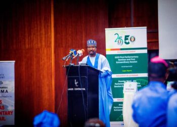 ECOWAS Parliament’s 1st Deputy Speaker, Barau, Applauds President Tinubu’s commitment to West Africa stability, economic integration