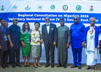 Stakeholders Review SDGs Progress as Nigeria Hosts South-East Regional Consultation on 2025 VNR in Enugu