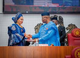 Arewa Group calls for suspension of Natasha Akpoti-Uduaghan from Senate Plenary over sexual harassment allegation