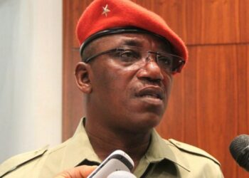 NIGERIAN PATRIOTS TO TINUBU: BRING BENUE, PLATEAU KILLERS TO JUSTICE  ……..SAYS IT’S A SHAME OF A NATION 