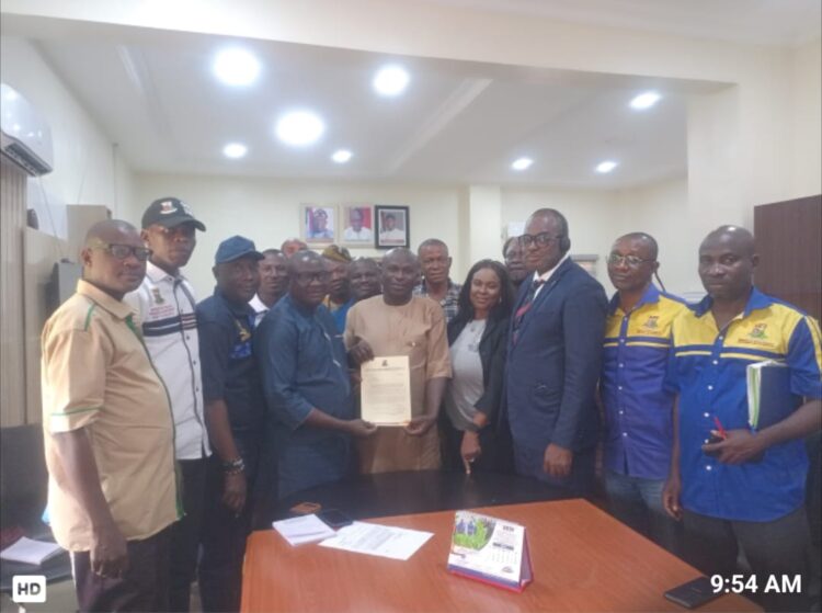 Oyo Gov’t Allocates Lands To Cashew Merchants
