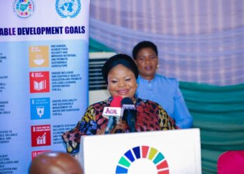 SDGs: Harnessing sub- nationals towards 2030 Agenda,     BY ABUBAKAR YUSUF.