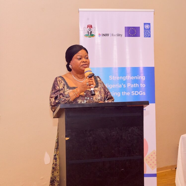 SDGs: Nigeria Moves to Fix Development Financing Gaps through INFF