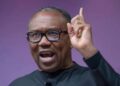 RE: FALSE CLAIM OF APOLOGY TO PETER OBI