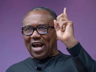 RE: FALSE CLAIM OF APOLOGY TO PETER OBI