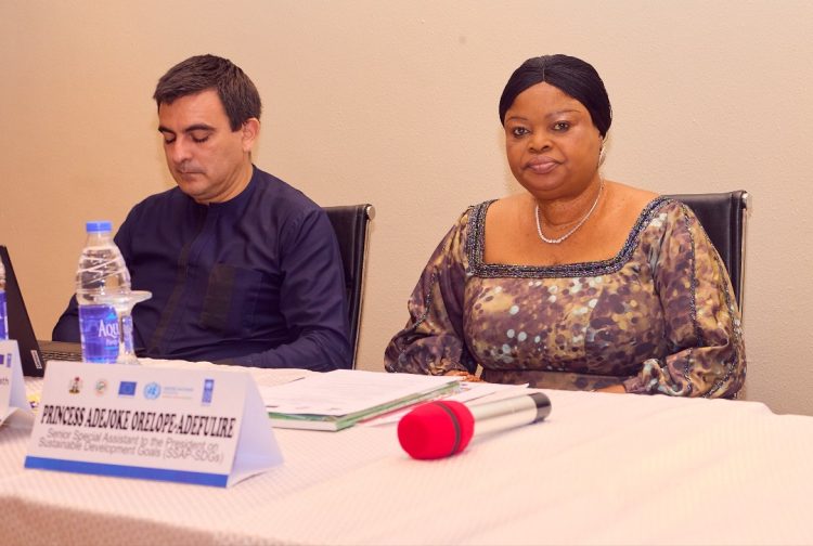 SDGs; The Workings of Integrated National Financing Framework, INFF,     BY ABUBAKAR YUSUF