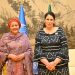Amina J. Mohammed’s Diplomatic Soldiering,      BY ABUBAKAR YUSUF 
