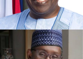 NDSF Lauds President Tinubu , NSA , Nuhu Ribadu on Protection of National Assets