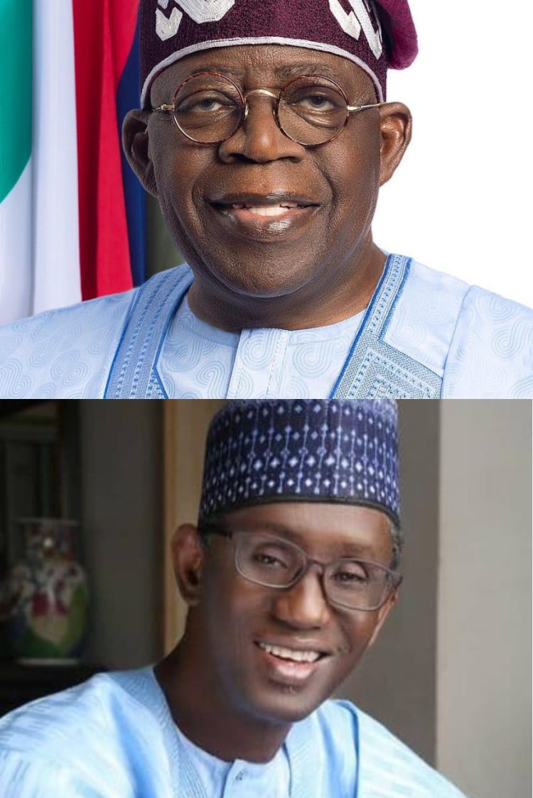 NDSF Lauds President Tinubu , NSA , Nuhu Ribadu on Protection of National Assets