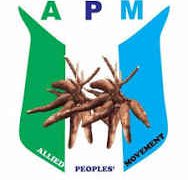 GOOGLE REPORT OF APM