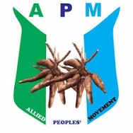 GOOGLE REPORT OF APM