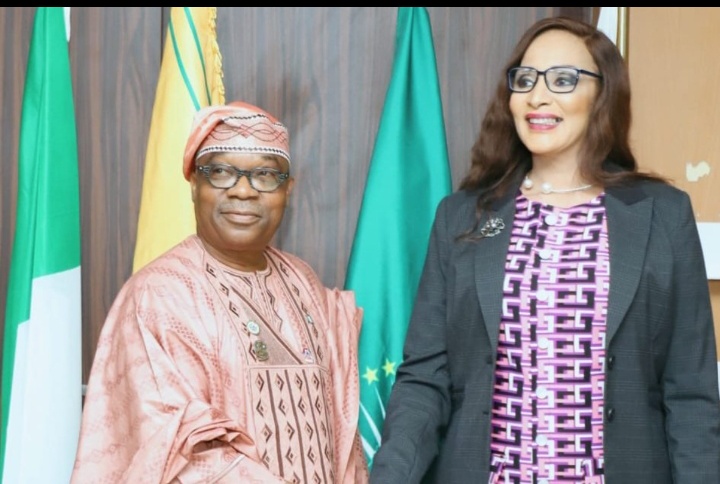 The Ojukwu-Enikanolaiye Doctrine: From Reactive Diplomacy to Offensive Statecraft