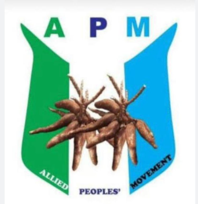 UN Probe : Analyst, Party Leaders Refers to Baga Killings in 2013, Clarifies Seyi Makinde’s Stance Roles of Defunct ACN now APC Position