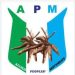 UN Probe : Analyst, Party Leaders Refers to Baga Killings in 2013, Clarifies Seyi Makinde’s Stance Roles of Defunct ACN now APC Position