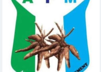 2027 Presidency: Seyi Makinde’s Agribusiness Revolution Ready for Nigeria, From Local Hub to National Blueprint.