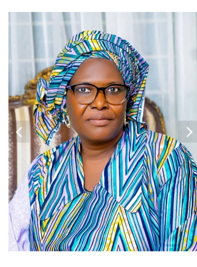 2027: APM National Women Leader; Hafsat Usman Says Seyi Makinde Is the Presidential Material Nigeria Needs Now