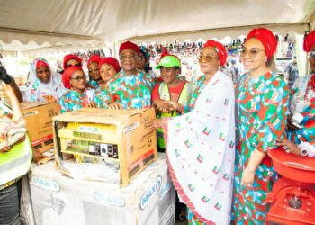 UNGA, SDGs, 2030 Decade of Action,      By ABUBAKAR YUSUF 