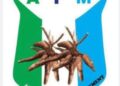 Reset Nigeria: North Central Youth League Mobilizes for Upcoming Town Hall with Makinde and Daura. 