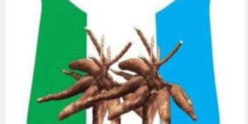 Reset Nigeria: North Central Youth League Mobilizes for Upcoming Town Hall with Makinde and Daura. 