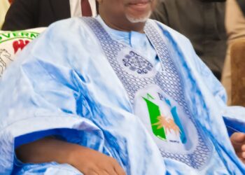 Kauran Daular Usmaniyya@ 68: A Political Colossus, Administrator per Excellence, BY ABUBAKAR YUSUF