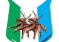 We Dey Kampe; APM