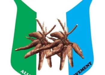 We Dey Kampe; APM